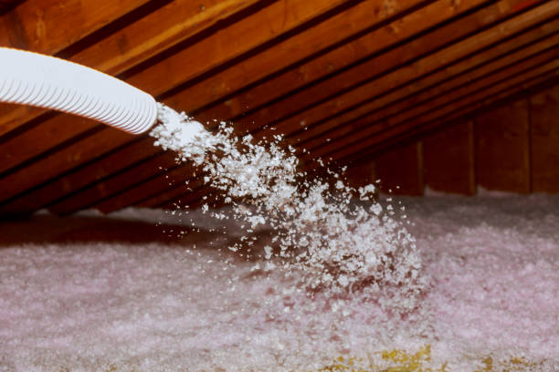 Best Insulation Removal  in Bull Mountain, OR